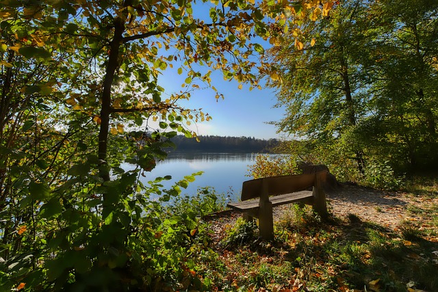 中保持领先 中保持领先