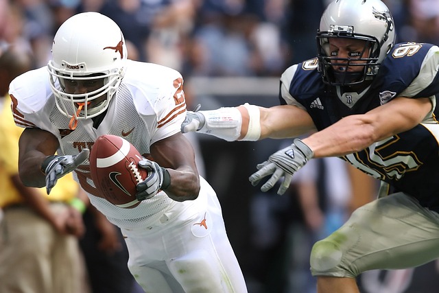 略之一是 略之一是