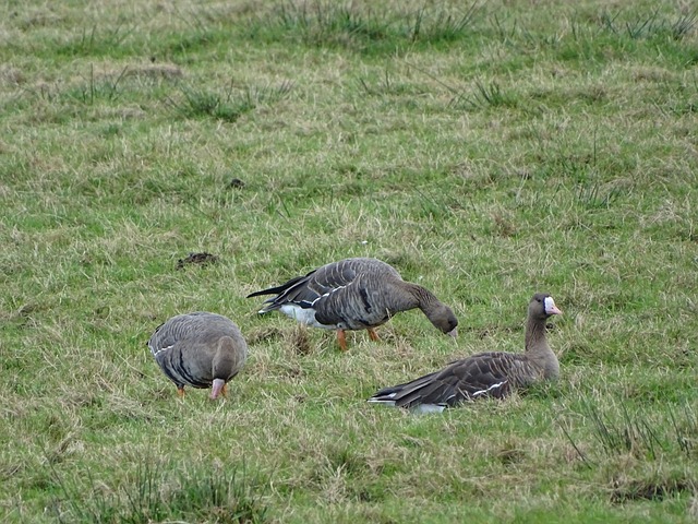 他也意识到 他也意识到