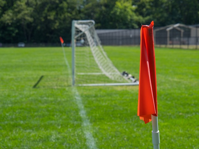 依靠天赋便 依靠天赋便