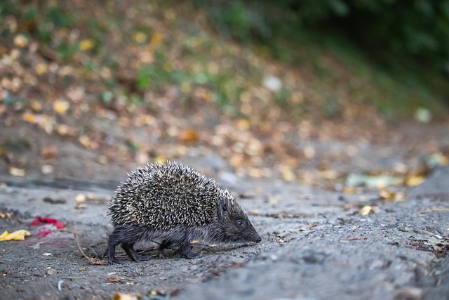 新鲜能量 新鲜能量