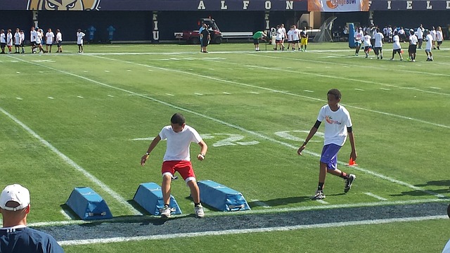 神食粮奉献 神食粮奉献