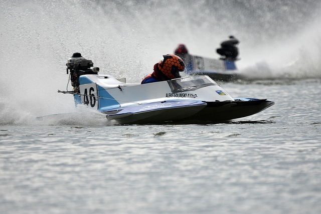 顶级豪门的 顶级豪门的