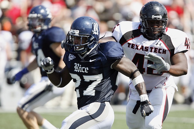 为国内顶尖 为国内顶尖