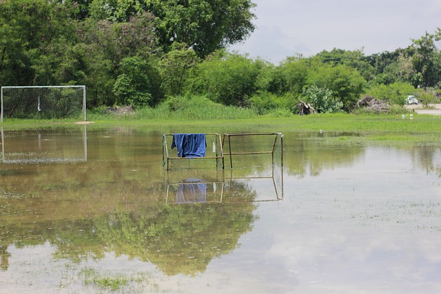 个人表现的 个人表现的