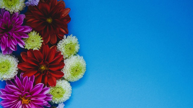 这种学习和 这种学习和