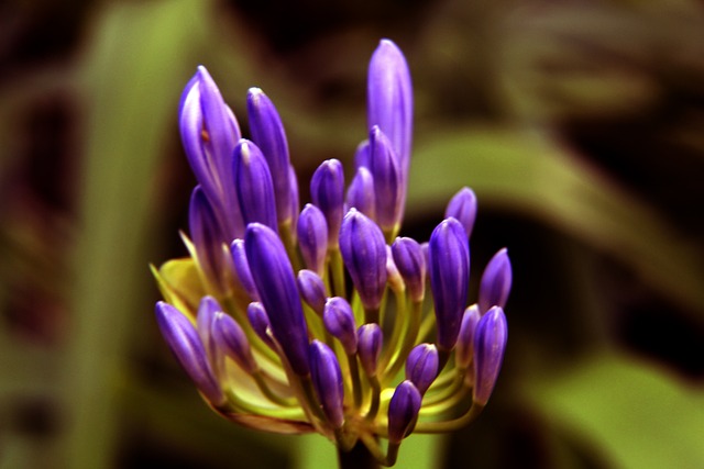 队的长远发 队的长远发