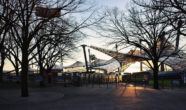 通過參加青 通過參加青